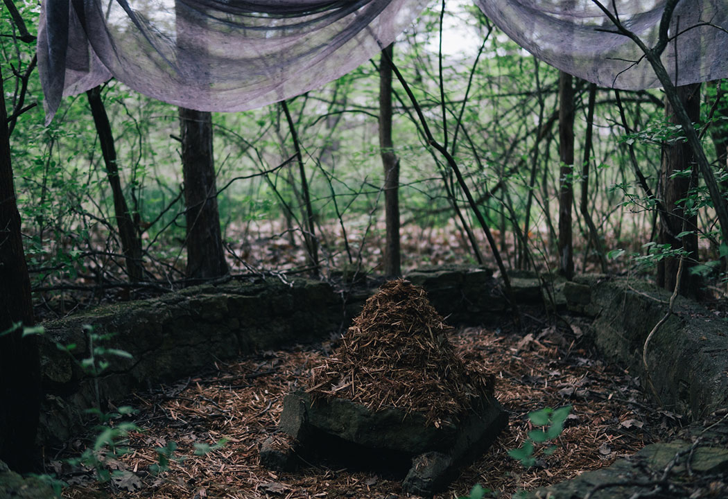 Saint Mary’s hosts closing reception for ‘Cedar Tree: DISTILLED’ on April 24