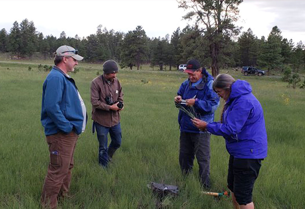 GeoSpatial Services visits New Mexico for wetland mapping fieldwork