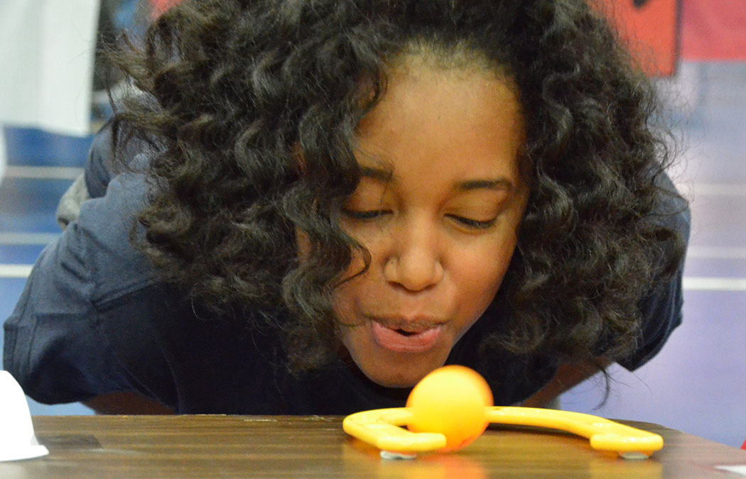 2nd annual Cardinal Fest is Saturday, Nov. 17