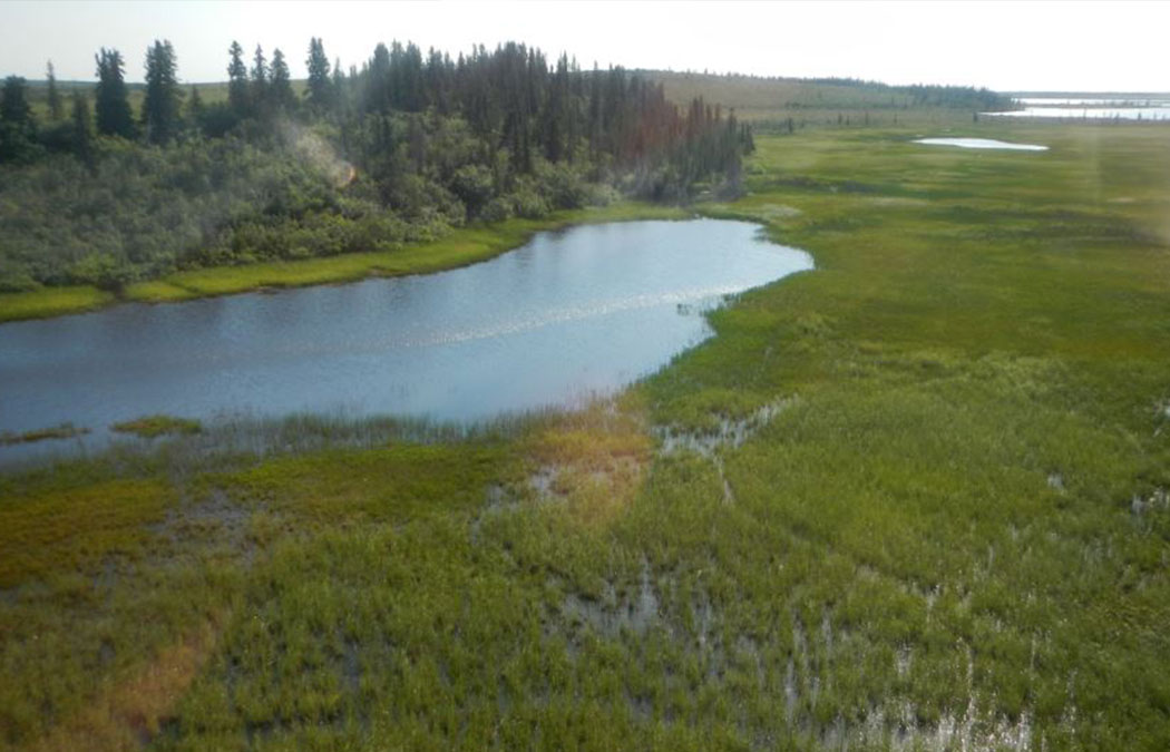 Busy field season begins for GSS